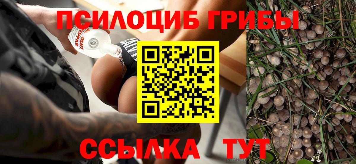 Узловая  Псилоцибиновые грибы GOLDEN TEACHER  Вход с VPN 