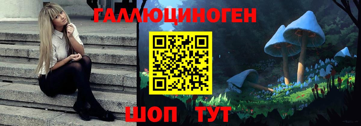 Псилоцибиновые грибы Psilocybe Узловая